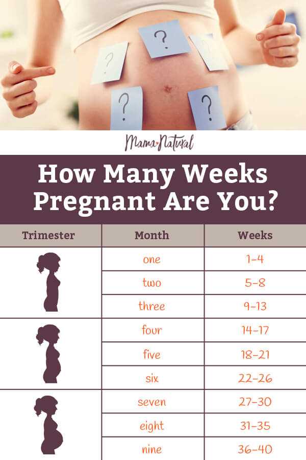 25 Weeks in Months: How Many Months is 25 Weeks?