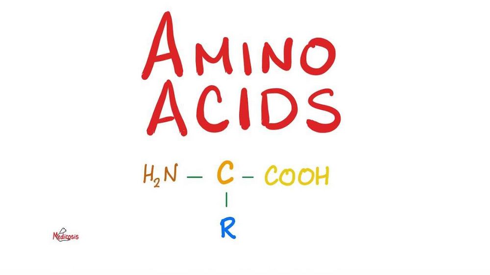 Amino Acid Formula: Everything You Need to Know