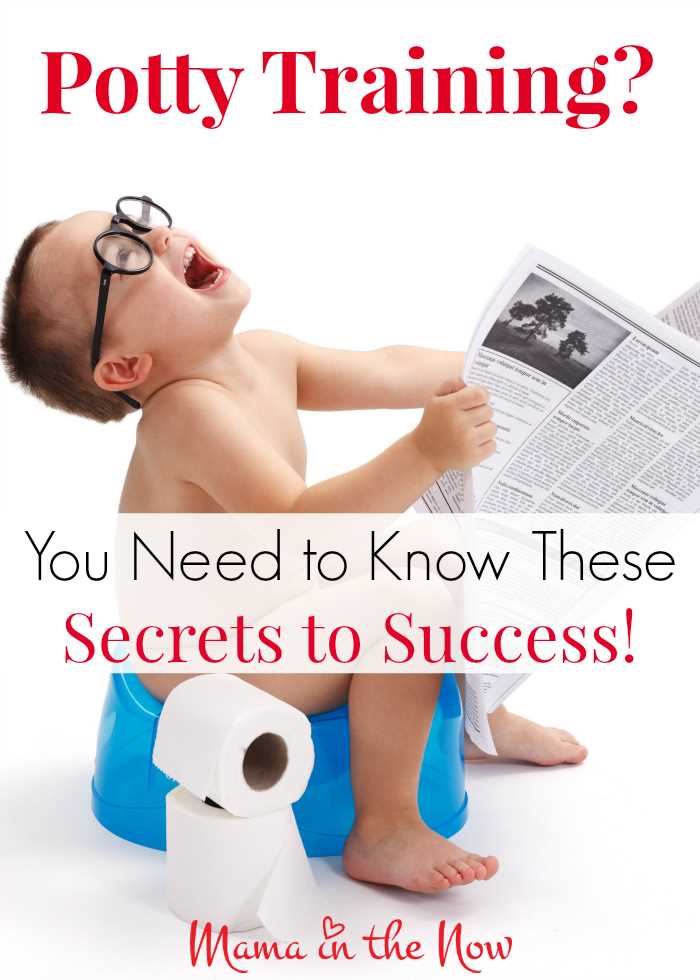 Toddler Potty Tips and Tricks: Expert Advice for Successful Potty Training