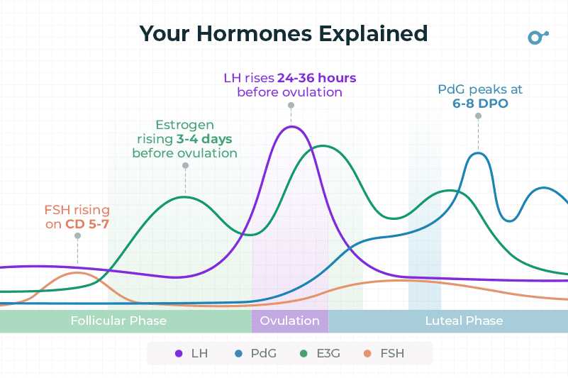 Estradiol Levels Chart Understanding Hormonal 