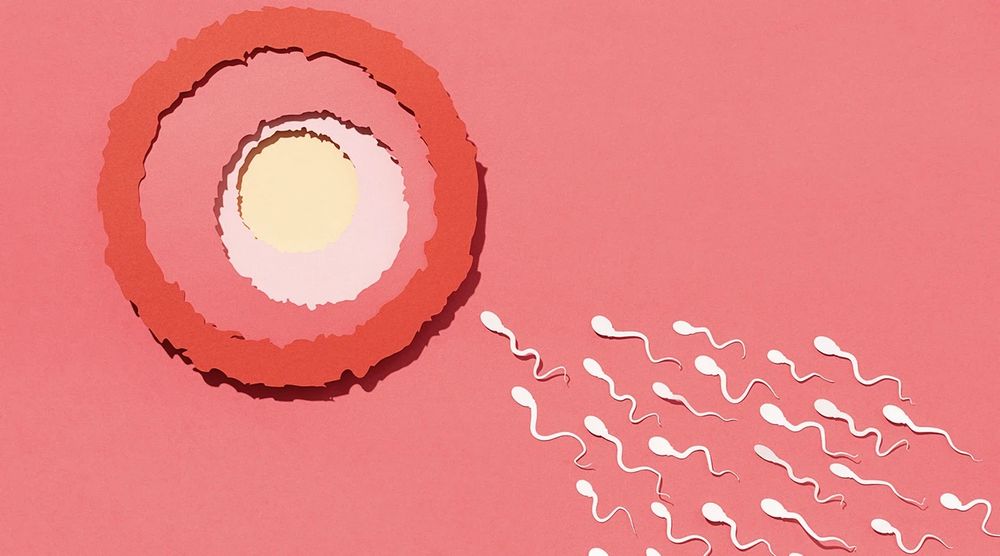 Exploring Fertility and Conception: How Much Sperm Does It Take to Get Pregnant?
