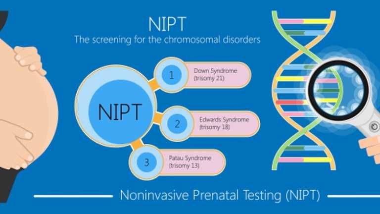 How Long Does NIPT Test Take: All You Need to Know
