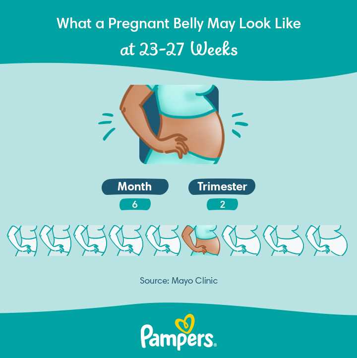 How Many Months is 27 Weeks? Find Out Here