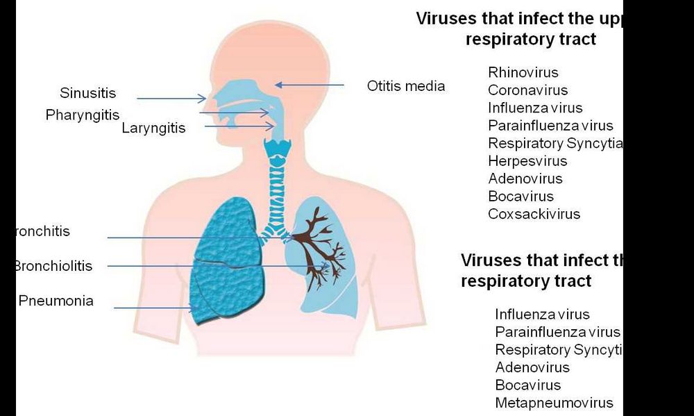 Is Upper Respiratory Infection Contagious? Exploring the Transmission and Prevention