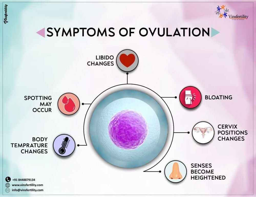 Nausea during ovulation: Causes, Symptoms, and Remedies