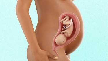 How Many Months is 32 Weeks Pregnant? Find Out Here