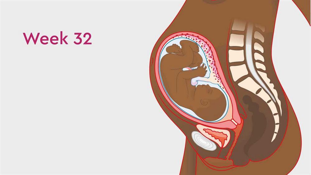 How Many Months is 32 Weeks Pregnant? Find Out Here