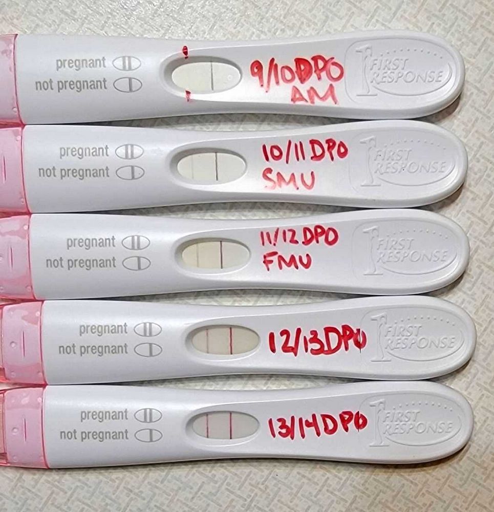 Pregnancy Test Progression: Understanding the Different Stages