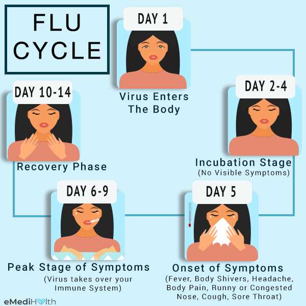 Stages of Flu Recovery: What to Expect and How to Speed Up the Healing Process