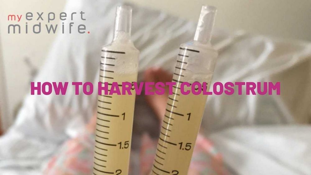 Step-by-Step Guide on How to Collect Colostrum: A Comprehensive Tutorial