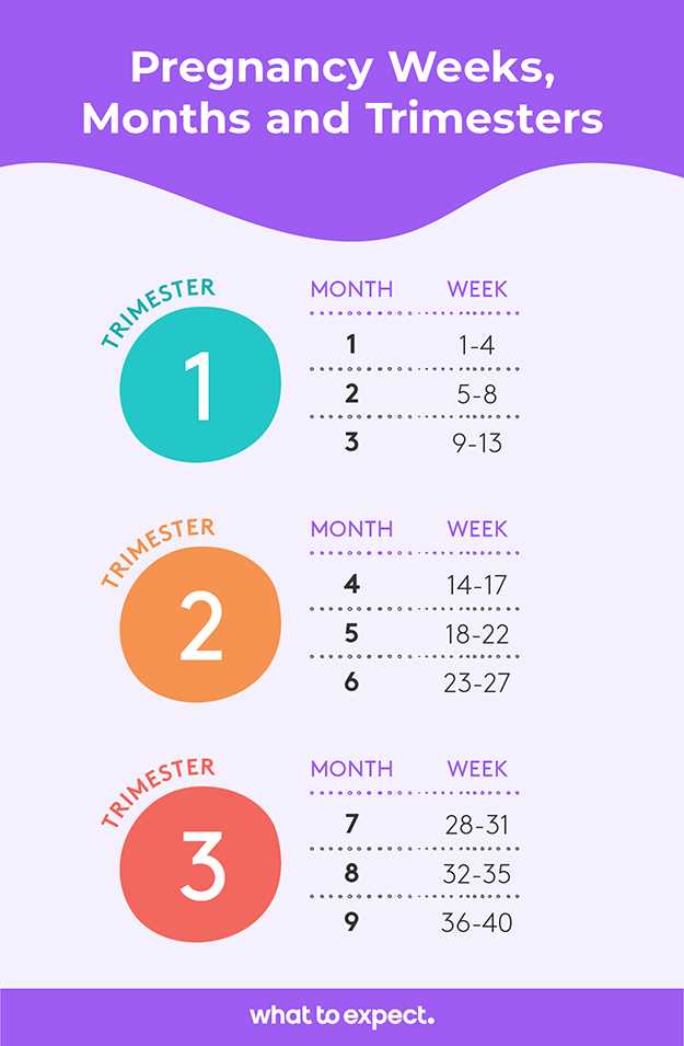 Understanding Pregnancy Duration: 39 Weeks in Months