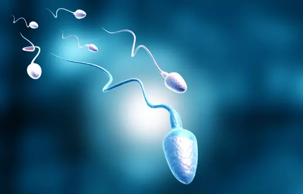 The Power of Folic Acid: Boosting Male Fertility and Enhancing Overall Health